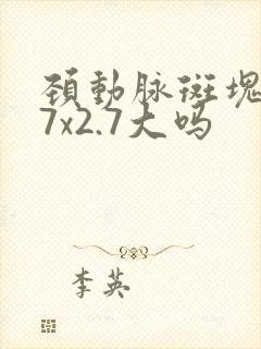 颈动脉斑块9.7x2.7大吗