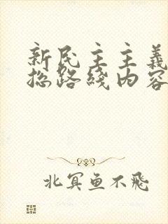 新民主主义革命总路线内容是什么