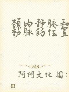 颈内静脉和颈内动脉的位置关系