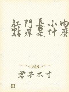 肛门长小肉球有点痒是什么原因