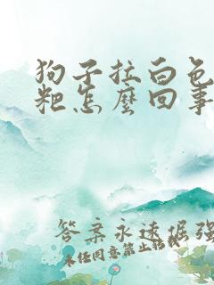 狗子拉白色的粑粑怎么回事