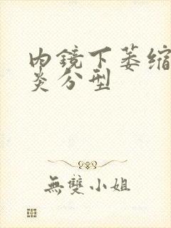 内镜下萎缩性胃炎分型