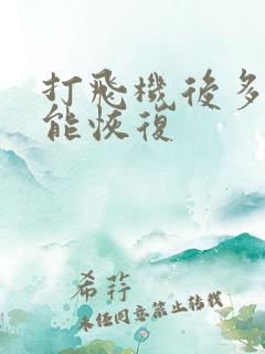 打飞机后多久才能恢复