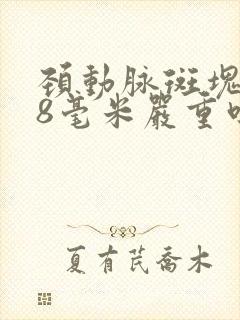 颈动脉斑块0.8毫米严重吗