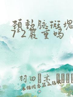 颈动脉斑块5.7*2严重吗