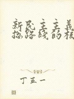 新民主主义革命总路线的核心是()