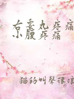 右睾丸疼痛带着小腹疼痛