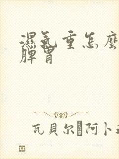 湿气重怎么调养脾胃