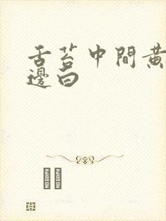 舌苔中间黄厚腻边白