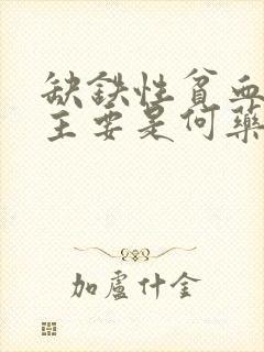 缺铁性贫血治疗主要是何药