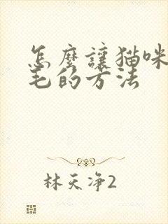 怎么让猫咪不掉毛的方法