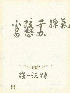 小孩子脾气暴躁易怒办