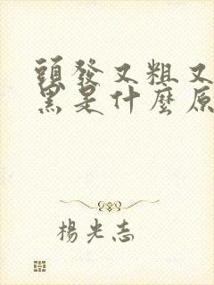 头发又粗又硬又黑是什么原因