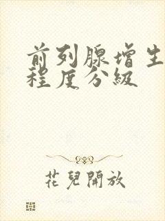 前列腺增生严重程度分级