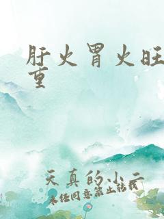 肝火胃火旺湿气重