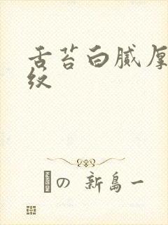 舌苔白腻厚有裂纹