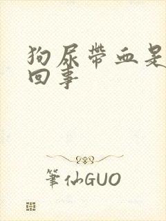 狗尿带血是怎么回事