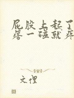 屁股上起了个疙瘩一碰就疼