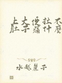 上大便拉不出来肚子痛什么原因