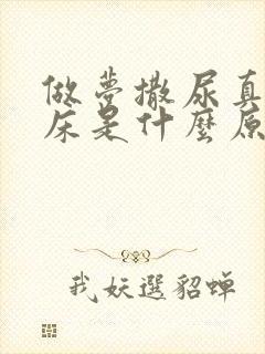 做梦撒尿真的尿床是什么原因