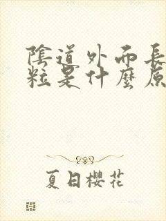 阴道外面长小颗粒是什么原因?