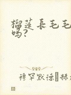 榴莲长毛毛能吃吗?