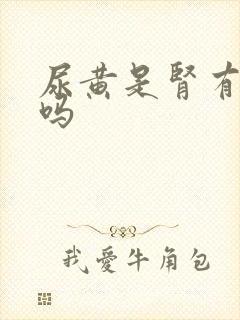 尿黄是肾有问题吗