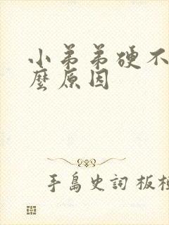 小弟弟硬不起什么原因