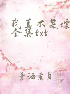 我真不是坏男人全集txt