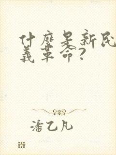 什么是新民主主义革命?