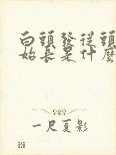 白头发从头顶开始长是什么原因