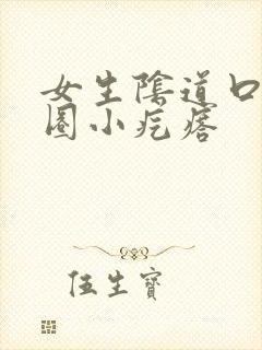 女生阴道口有一圈小疙瘩