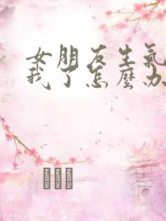 女朋友生气不理我了怎么办