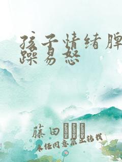 孩子情绪脾气暴躁易怒