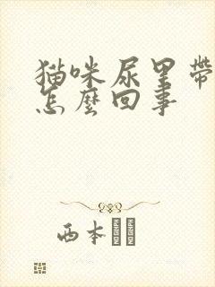 猫咪尿里带血是怎么回事