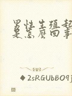 男性生殖起不来是怎么回事