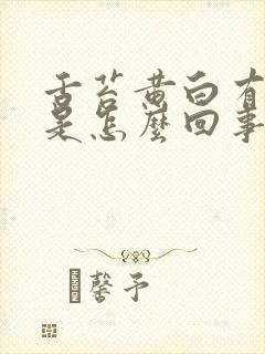 舌苔黄白有齿痕是怎么回事