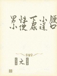 男性下小腹胀痛小便尿道口刺痛