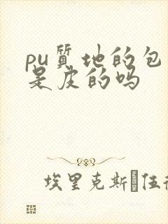 pu质地的包包是皮的吗