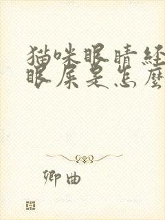 猫咪眼睛经常有眼屎是怎么回事