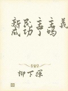 新民主主义革命成功了吗