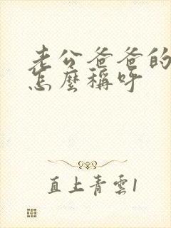 老公爸爸的姐姐怎么称呼