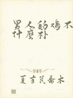 男人的鸡不硬吃什么补