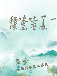 猫咪吐了一坨毛球怎么办