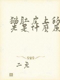 猫肚皮上的毛掉光是什么原因