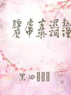 脾虚有湿热吃什么中药调理