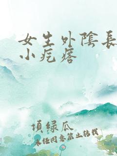 女生外阴长了个小疙瘩