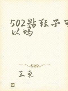 502粘鞋子可以吗