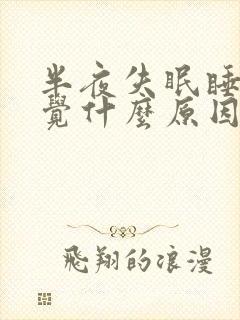 半夜失眠睡不着觉什么原因