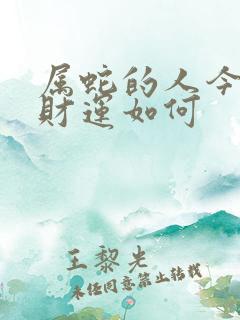 属蛇的人今天的财运如何